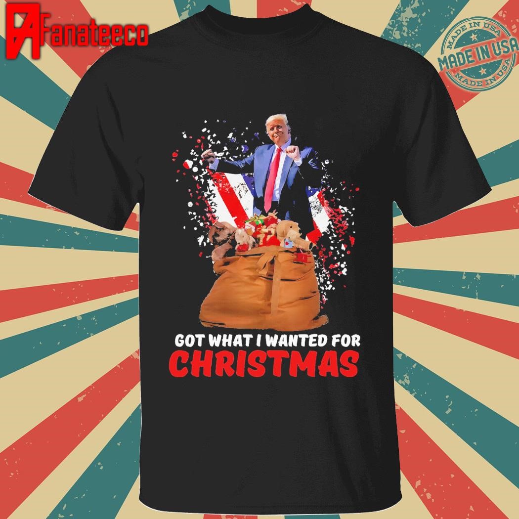 Got What I Wanted For Christmas Trump Won 2024 President T-Shirt