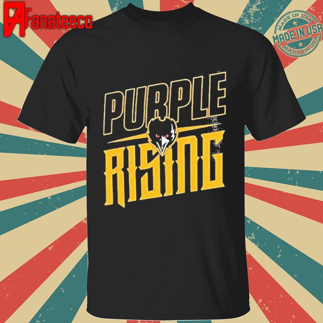 NFL Baltimore Ravens Purple Rising Super Rival t-shirt