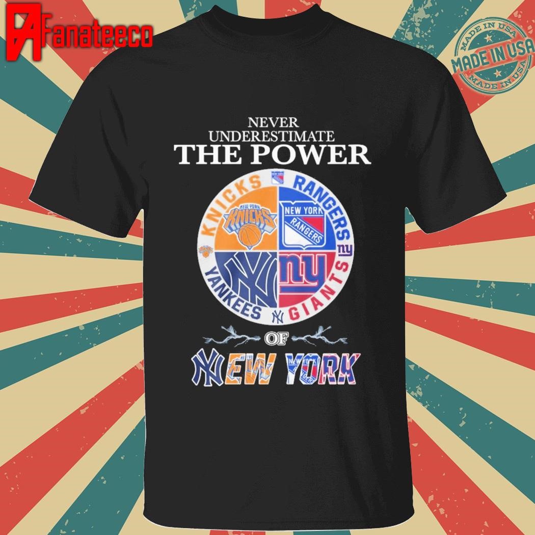 Never Underestimate The Power Of New York 2025 shirt